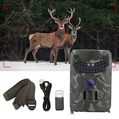 HD Hunting Camera - 12MP