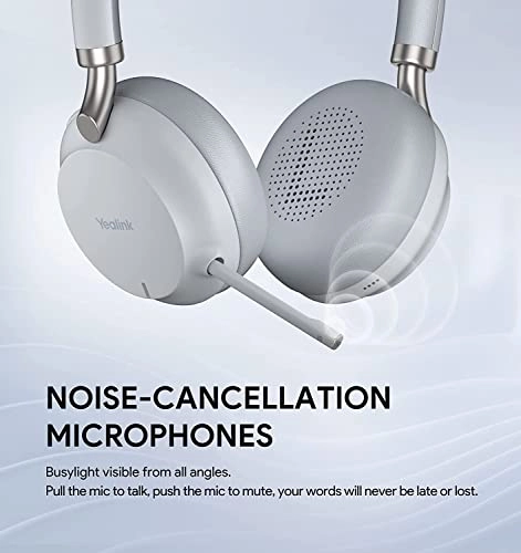 BH72 Lite Wireless Headset