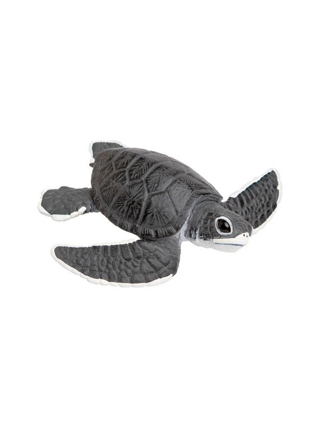 Safari Ltd Children's Toy Figures - Green Sea Turtle