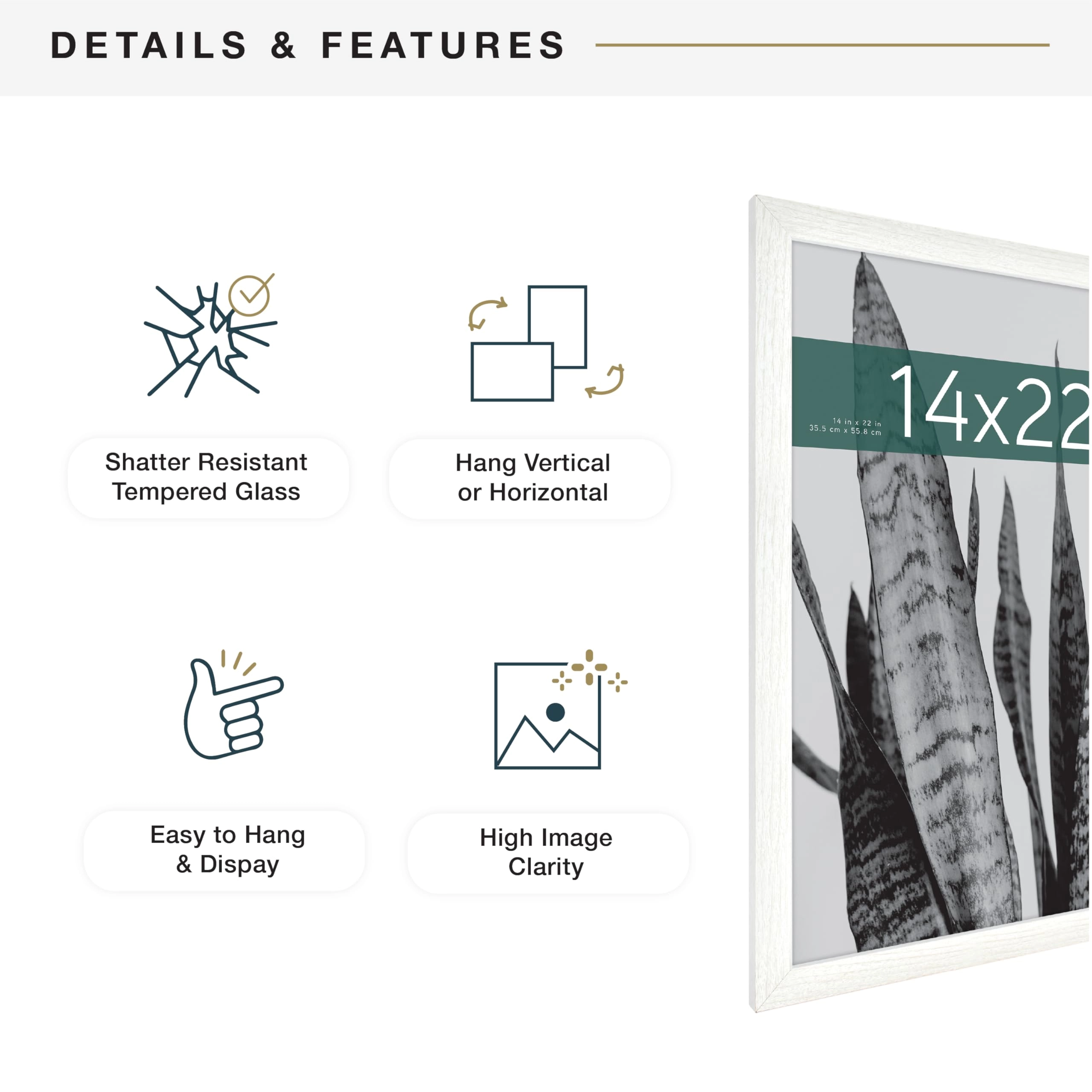 Studio Gallery - 14x22 1