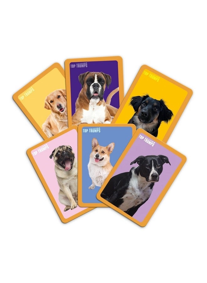 Match Game Dogs - Matching Game Memory Game
