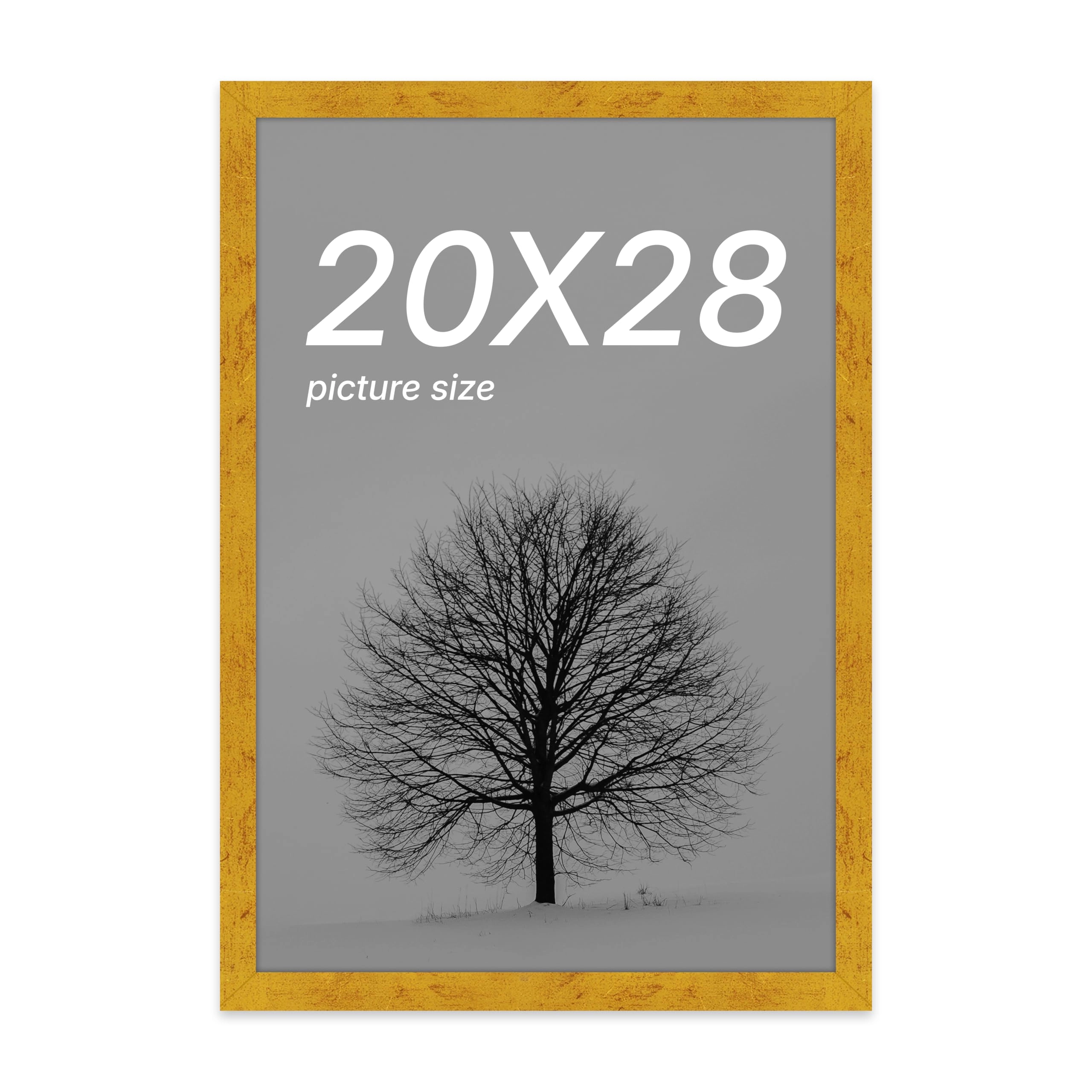 Edge Square, Edge Square Document Frame - 20x28 Inch
