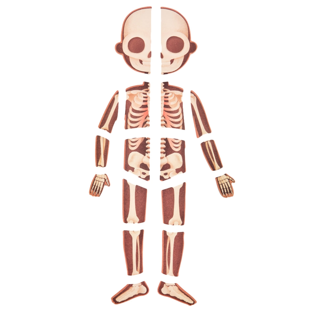 Body Magnetic Puzzle (TOP-CT7013) - 90 pcs