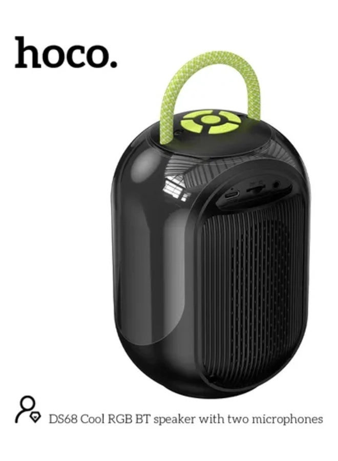 DS68 - 2 Microphones 5W*2