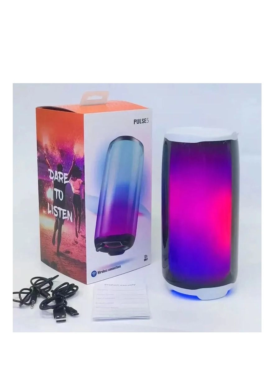 Portable Party Speaker