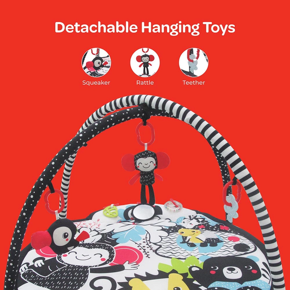 Chirpy Portable Activity Gym Play Mat - 0 months