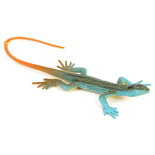 Lizard Set - 18 months - 3 years 12 pieces