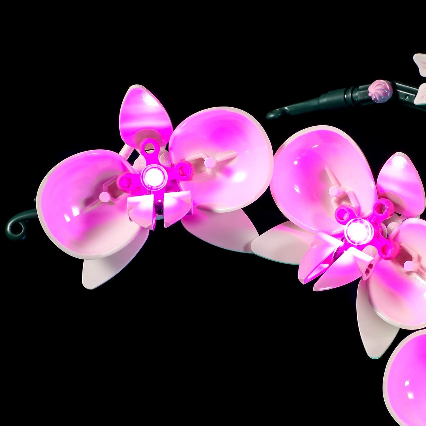 Led Lighting Kit - Flowers
