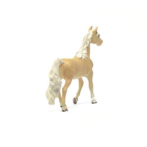 American Saddlebred Mare - 5yr(s)