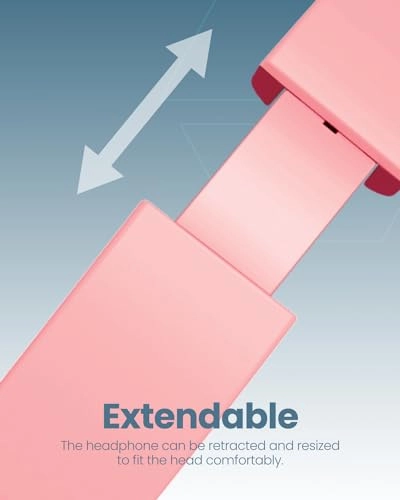 Tiny Tunes Wired Headphone