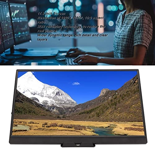 Portable Monitor - Full HD 17.3 inch