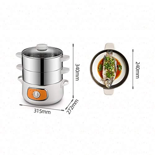 Electric Steamer - 3