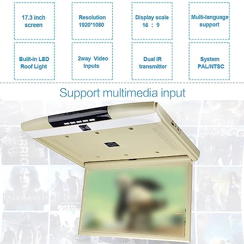 Car Video Player - 17.3 Inch