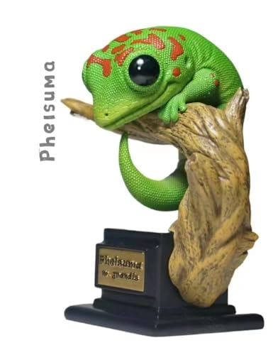 Gecko - Nephrurus Wheeleri Wheeleri (BWZ-SG)