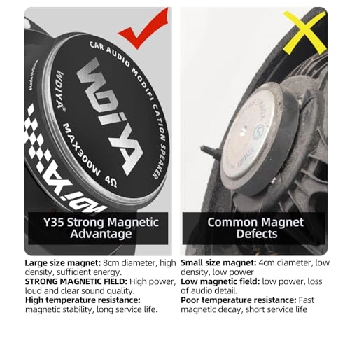 ZDY-6502B - 6.5 Inch Coaxial