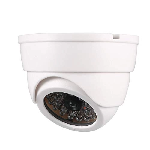 Dummy Dome CCTV - Outdoor