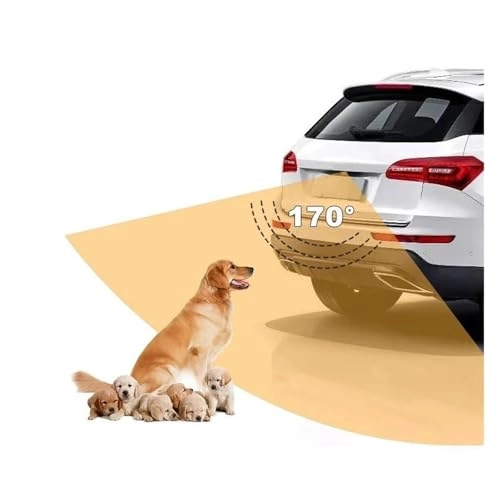 Rear View Camera - Night Vision 720x480