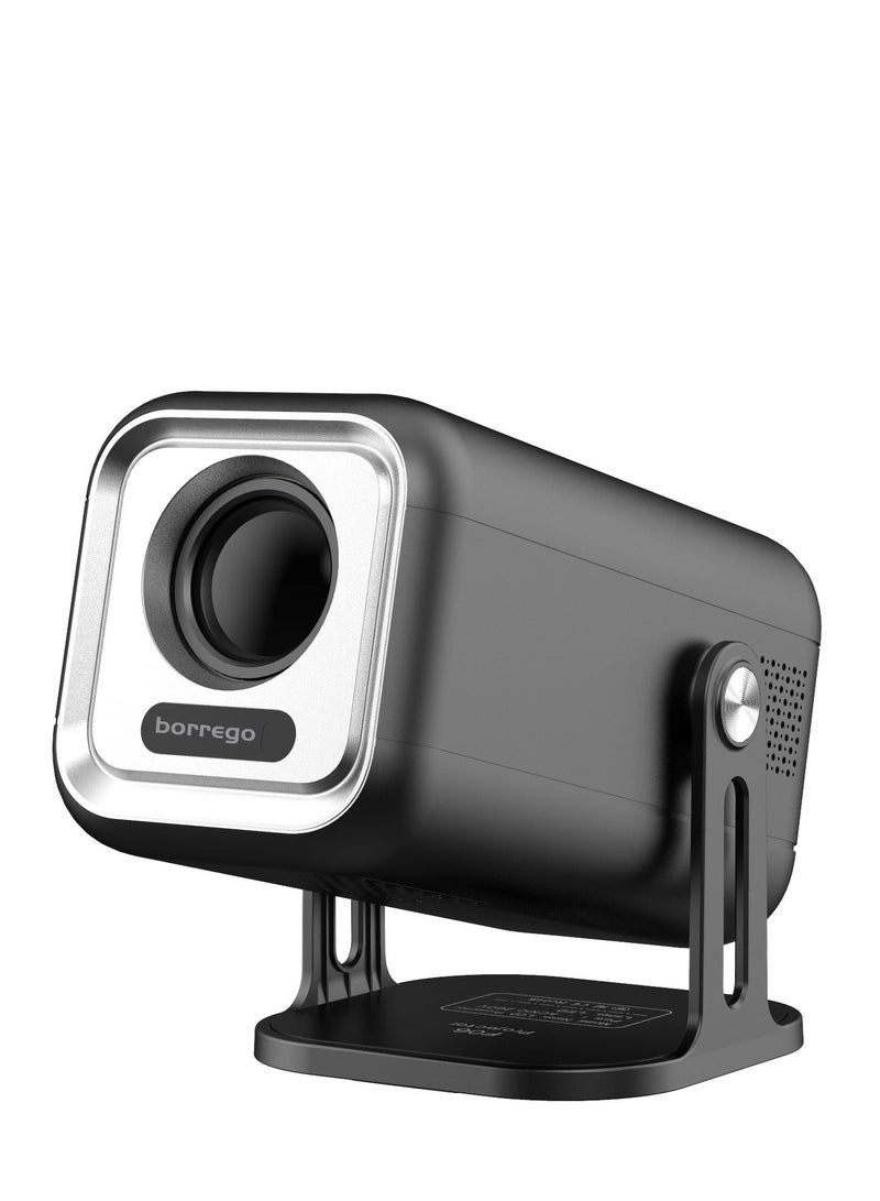 Borrego Smart8 300 ANSI Brightness