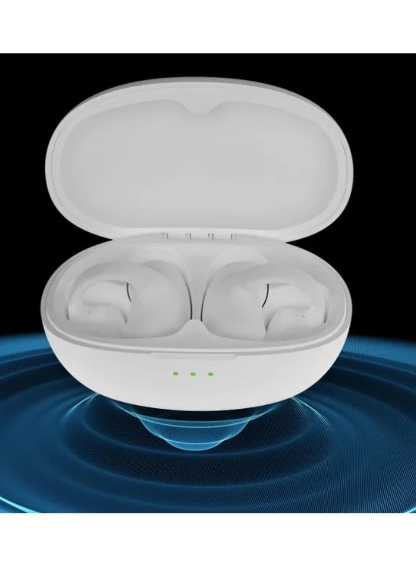 T306 Wireless Earphone