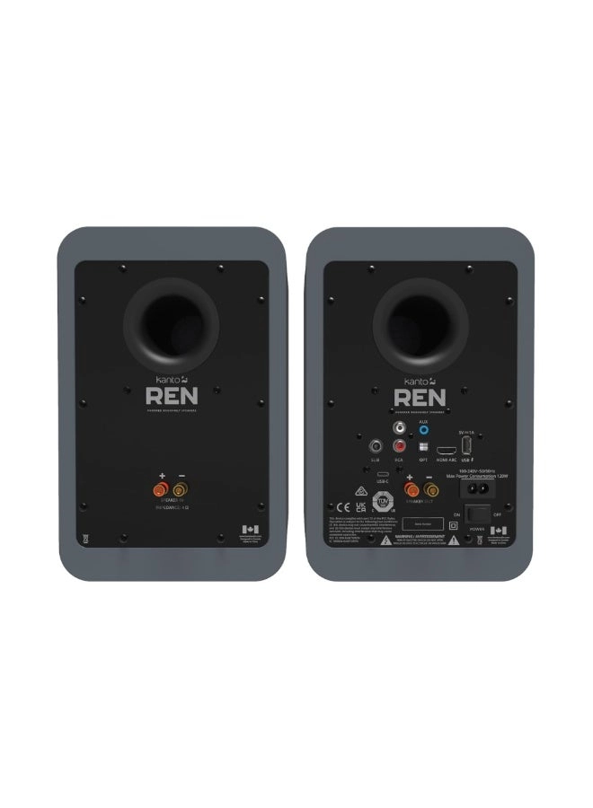 REN - 100 W
