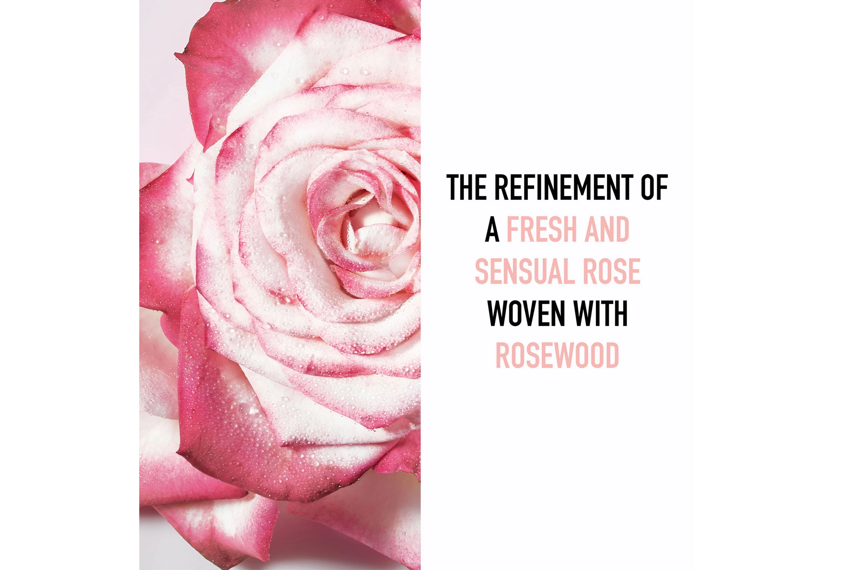 Miss Dior Eau de Parfum 50 ml