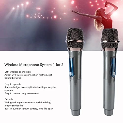 Cryfoktysnri5c76d - 2 microphones