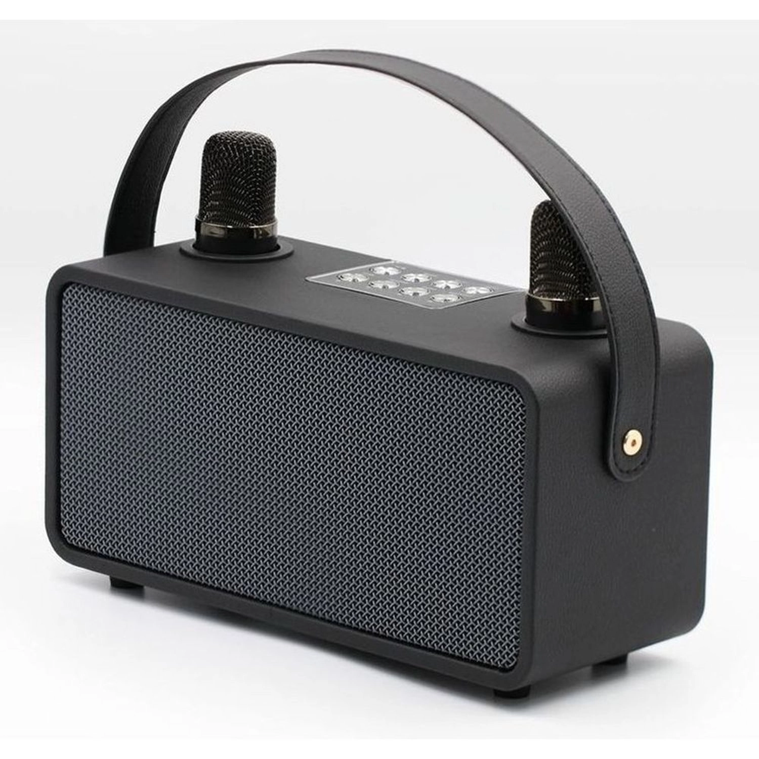 Pulz Mini Karaoke - 2 Microphones