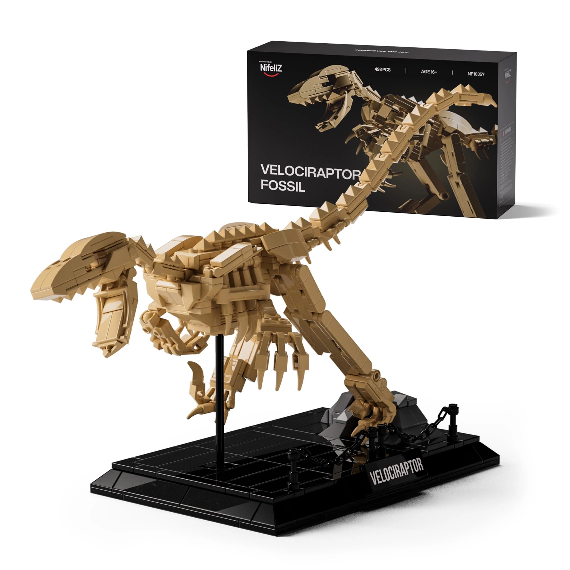 Nifeliz Velociraptor Fossil Model - Dinosaur Skeleton Display Base