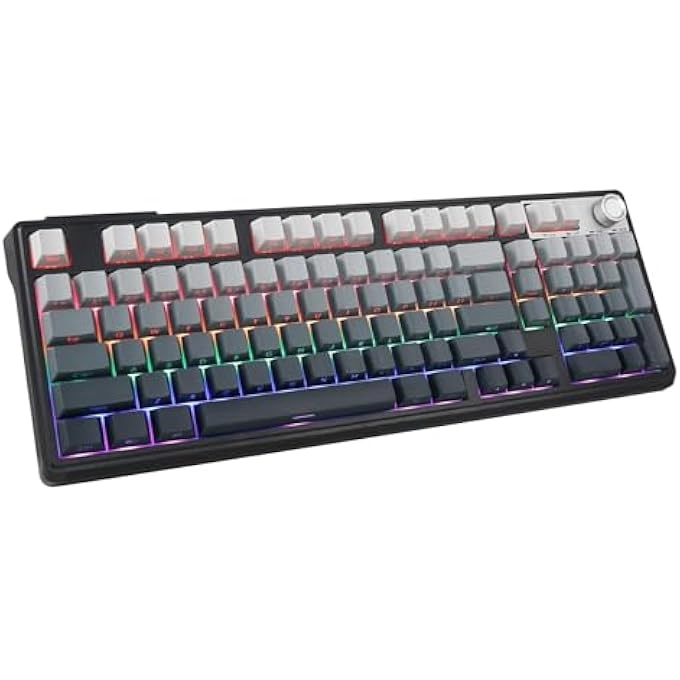 rayihni Z-11 - Wired/Wireless