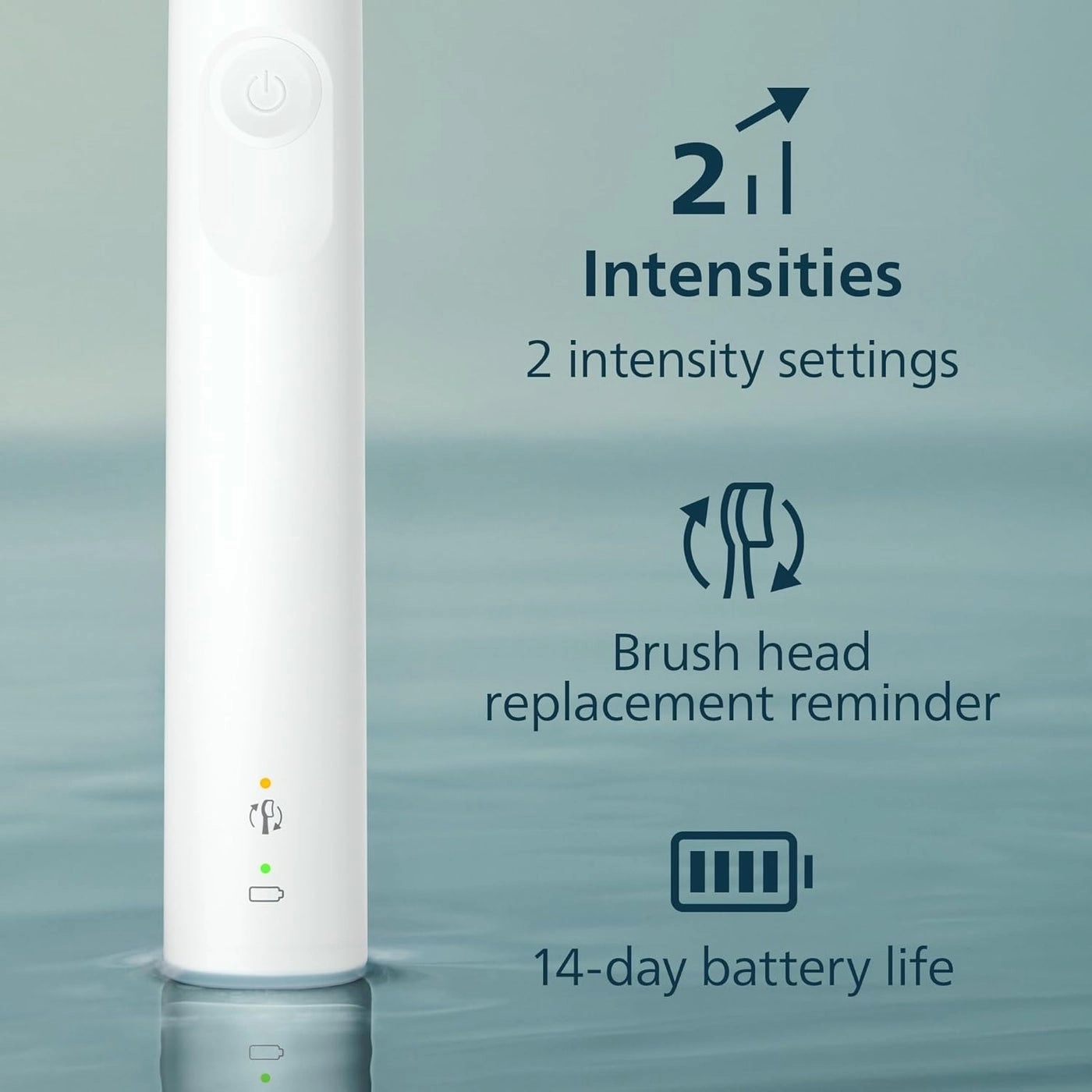 Sonicare 4100 - 1 Brush Head Slim Travel Case USB Charger
