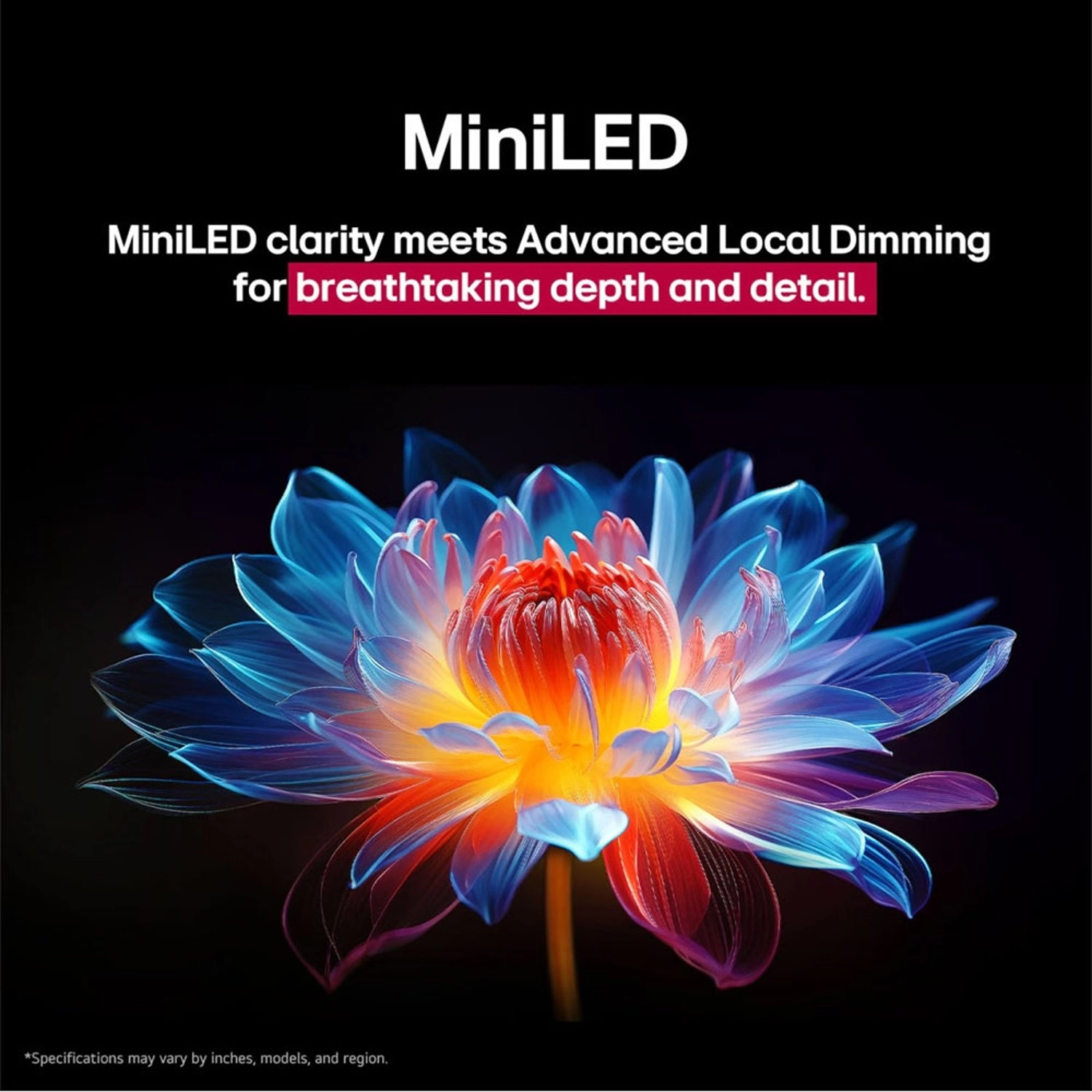 65QNED9MA6A-AMAG - 65 in