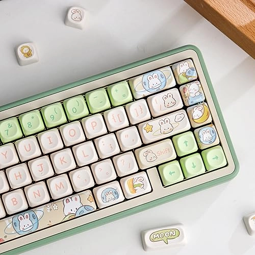 Rabbit Keycaps - Wired