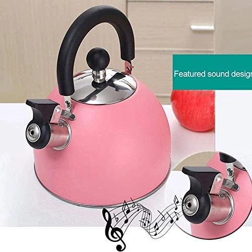 Tea Kettle - Stainless steel