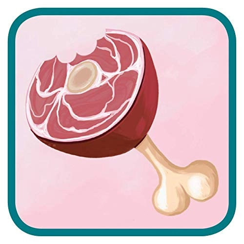 Concept Kids Animals