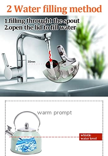 Stovetop Whistling Kettle - 3L