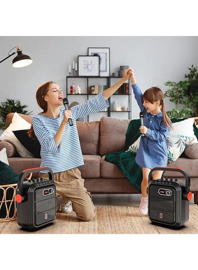 Karaoke machine - 2 wireless microphone