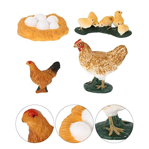 Chick Life Cycle Exploration Set Biology - 4 pieces