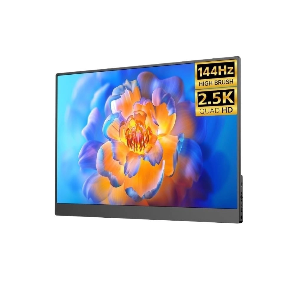 Portable Monitor - 1WLBPJ9KHMTZ 17.3-inch 2560 x 1440