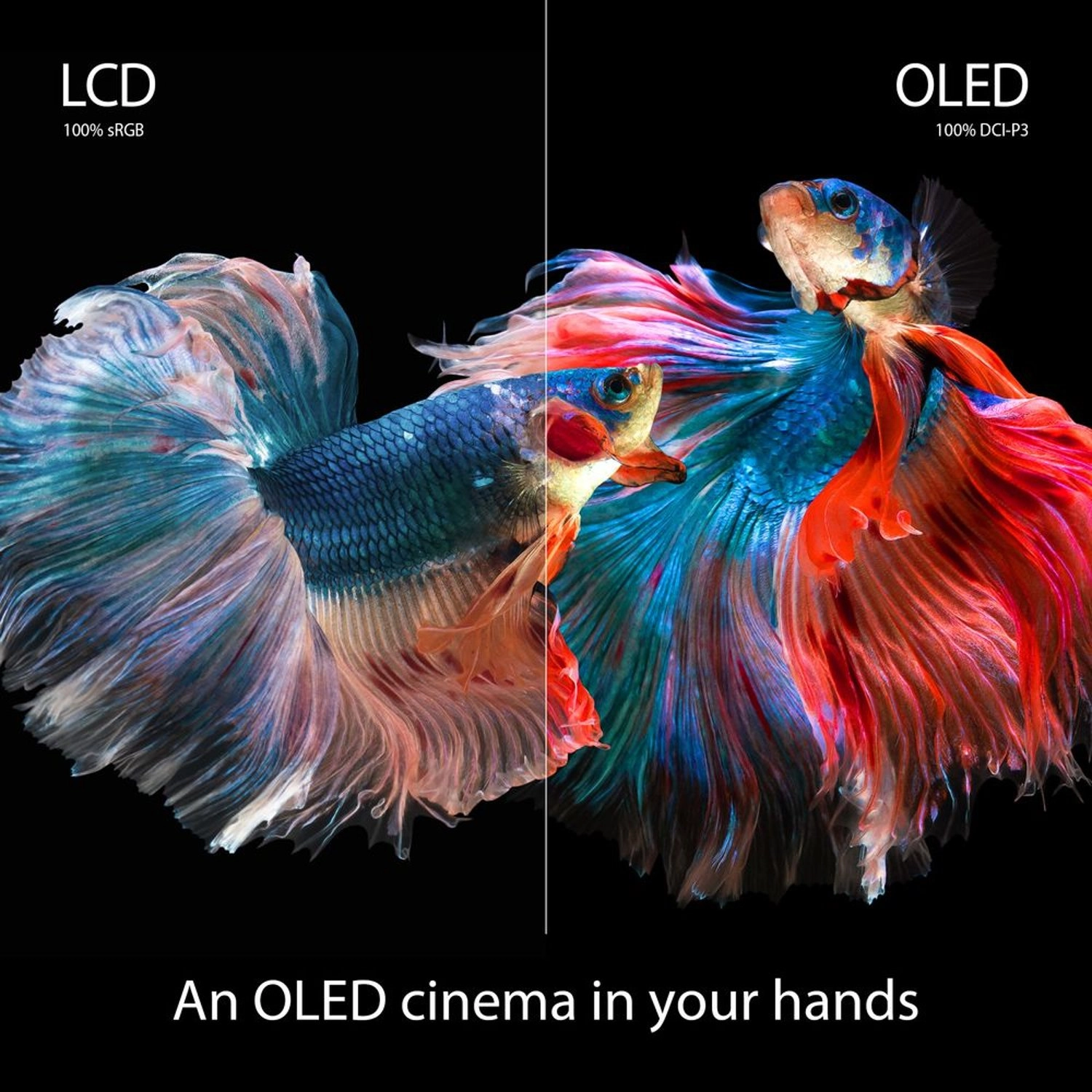 Vivobook 15 OLED K513EQ-OLED107T - 15.6'' Core i7-1165G7 16GB DDR4 1TB SSD