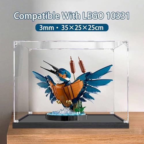 Acrylic Display Case - transparent acrylic