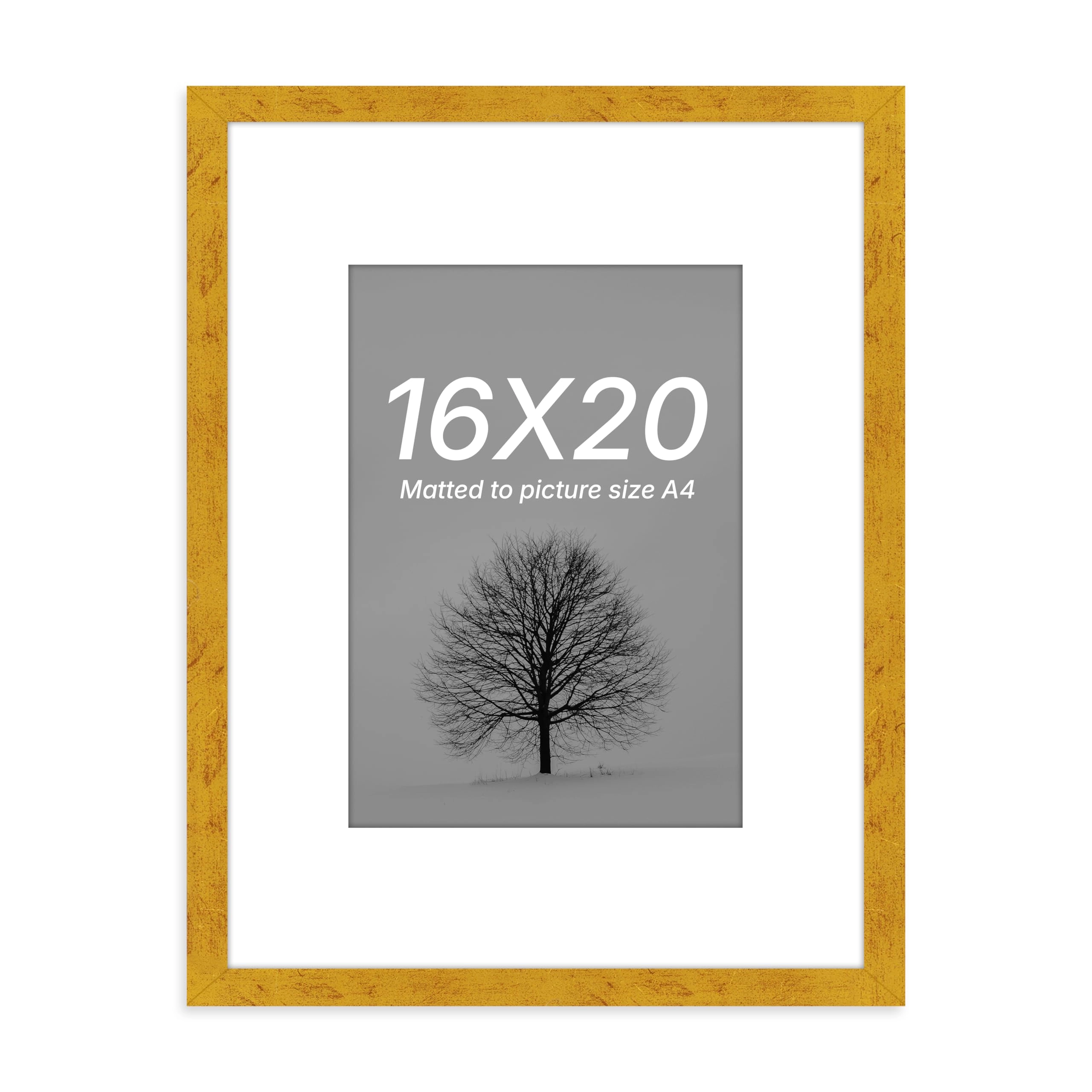 Document Frame - 16x20 Inch