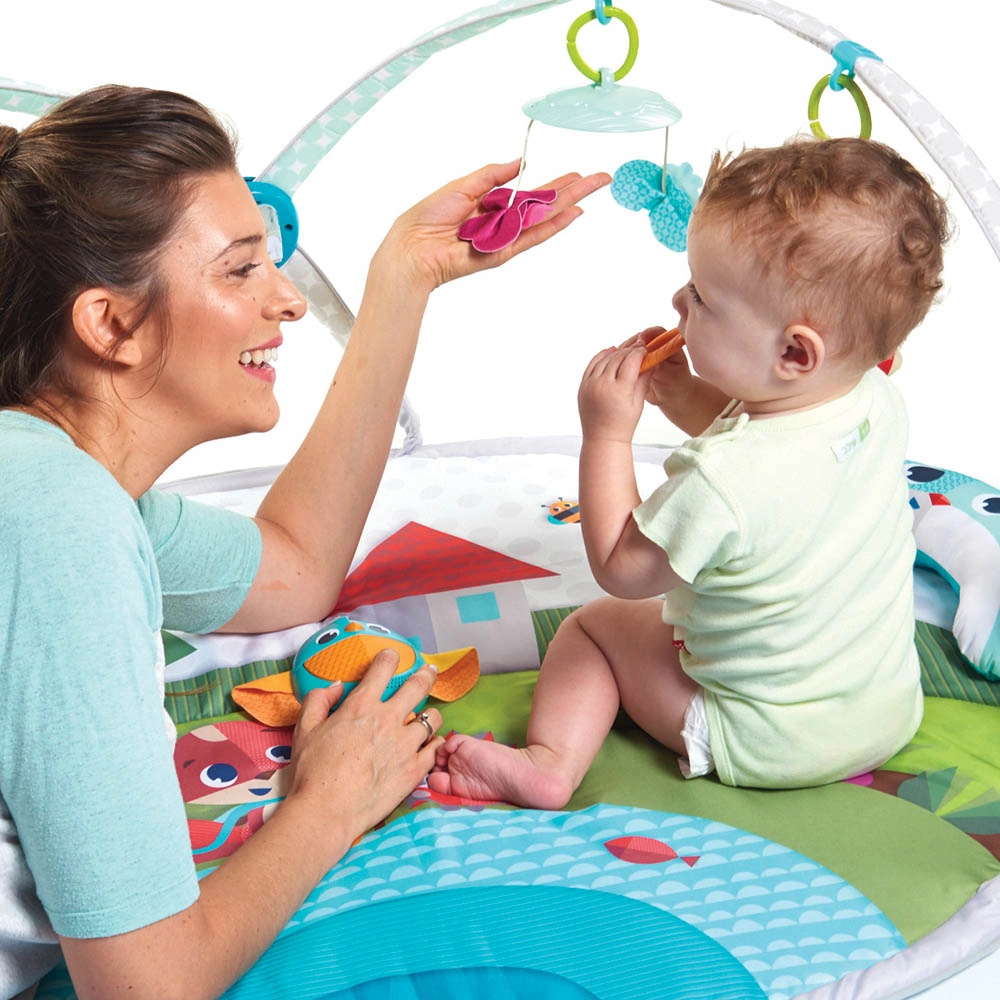 Dynamic Developmental Activity Playgm - 0 month