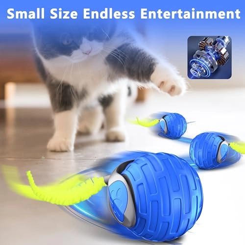 Cat Toy Ball - All Life Stages