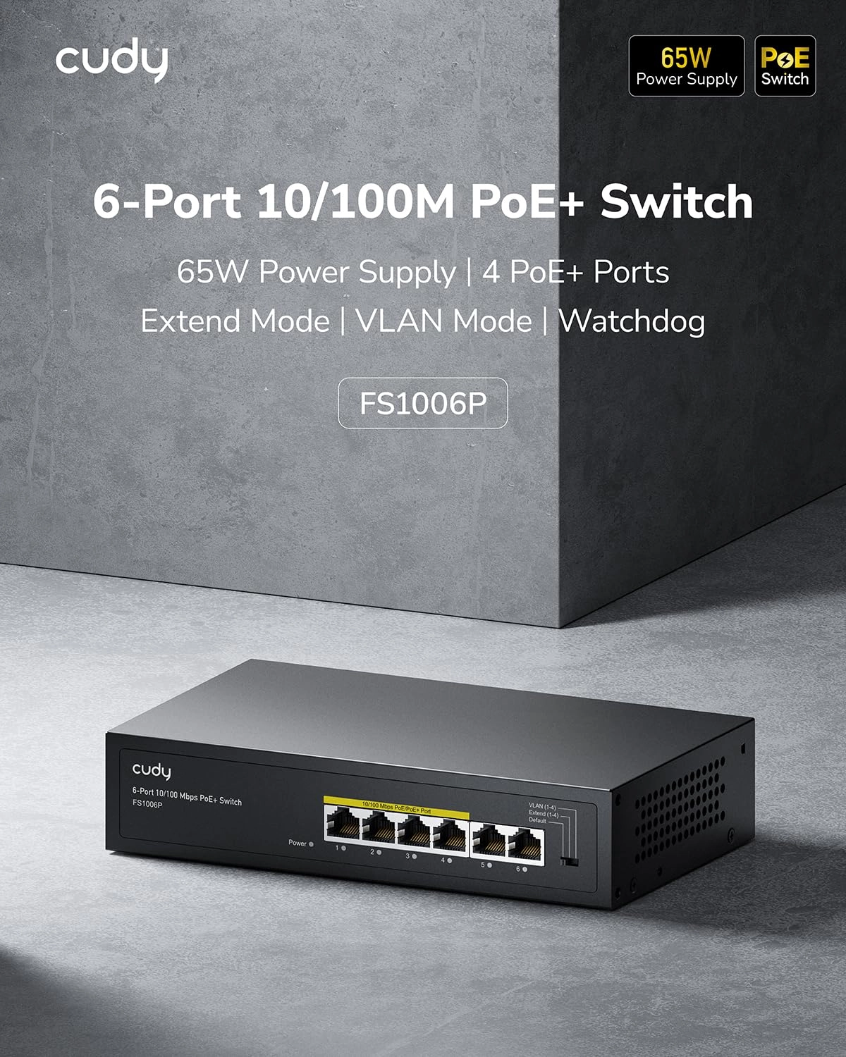 FS1006P 6-Ports
