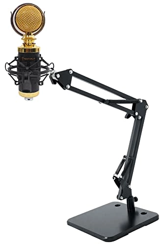 RCM02 - Large Diaphragm XLR Microphone + iSTAND 75 - Boom Arm Weighted Base