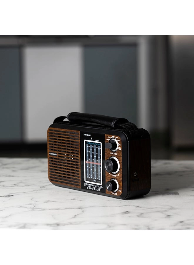 FM/AM/SW Radio & Music Player - Portable