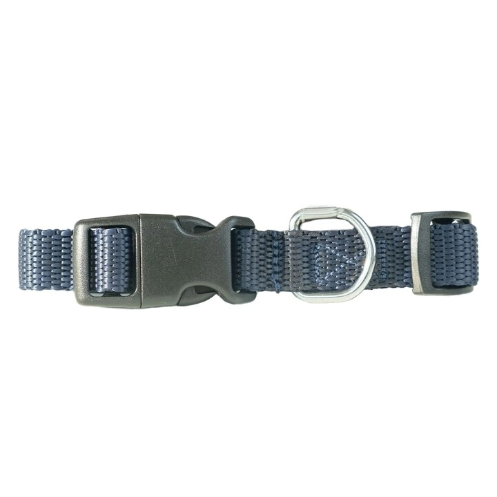 Dog Collar - 35cm Dog