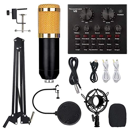 BM-800 Wired Microphone Kit