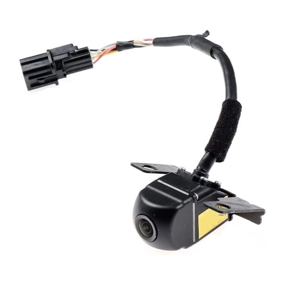 Reversing Camera - Night