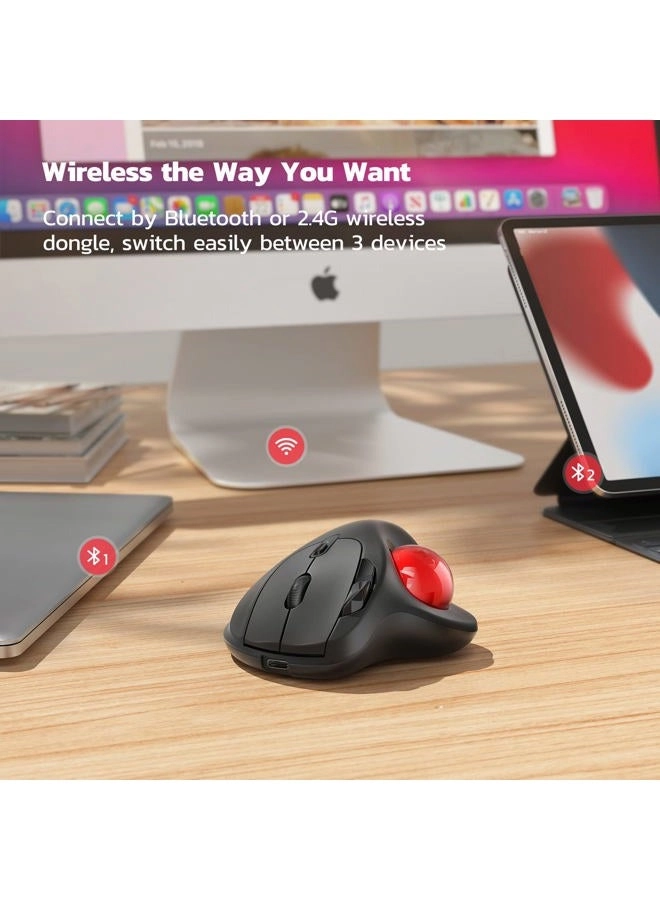 M501 Trackball Mouse - Wireless